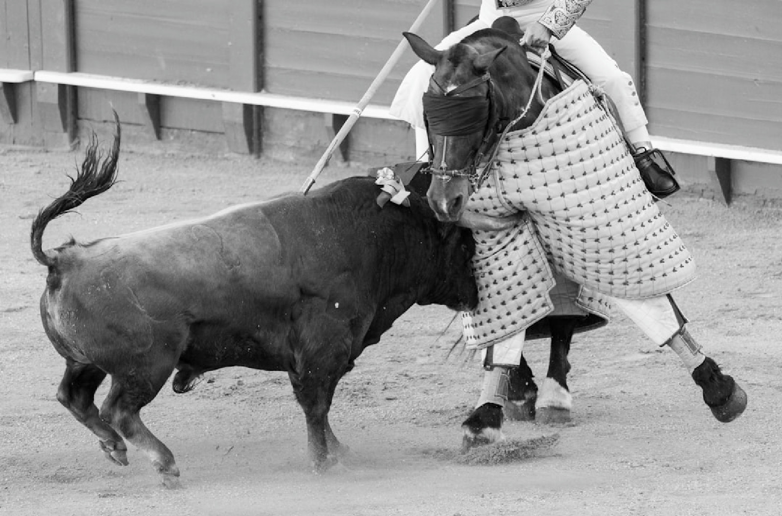 A man riding on the back of a bull